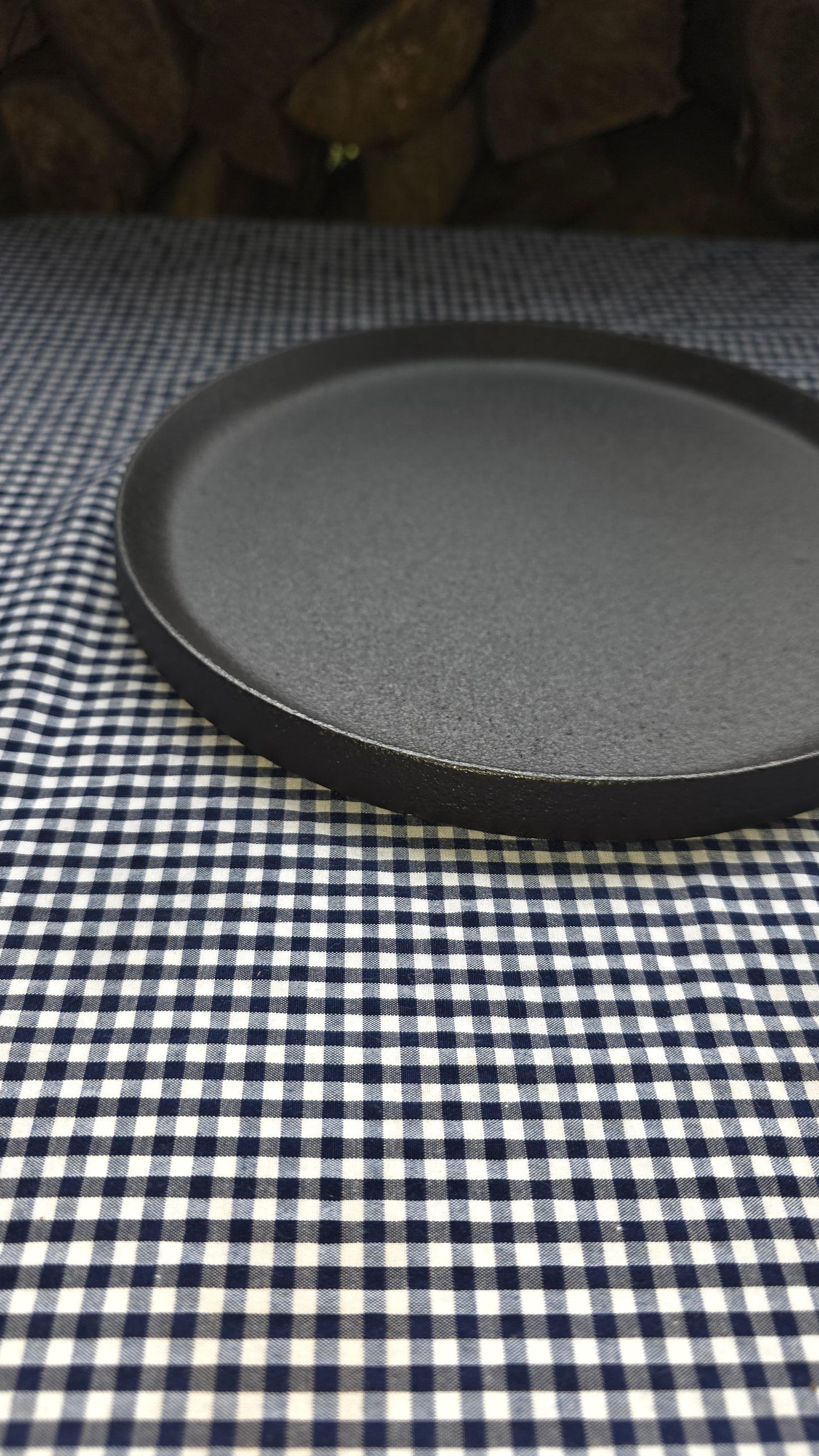 Sarten 25cm (provoletera)