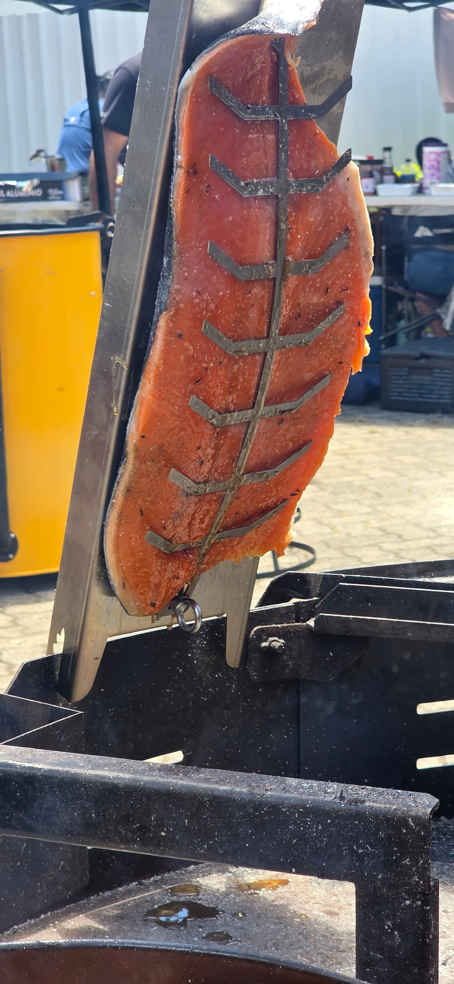 Placa Metalica para Salmón