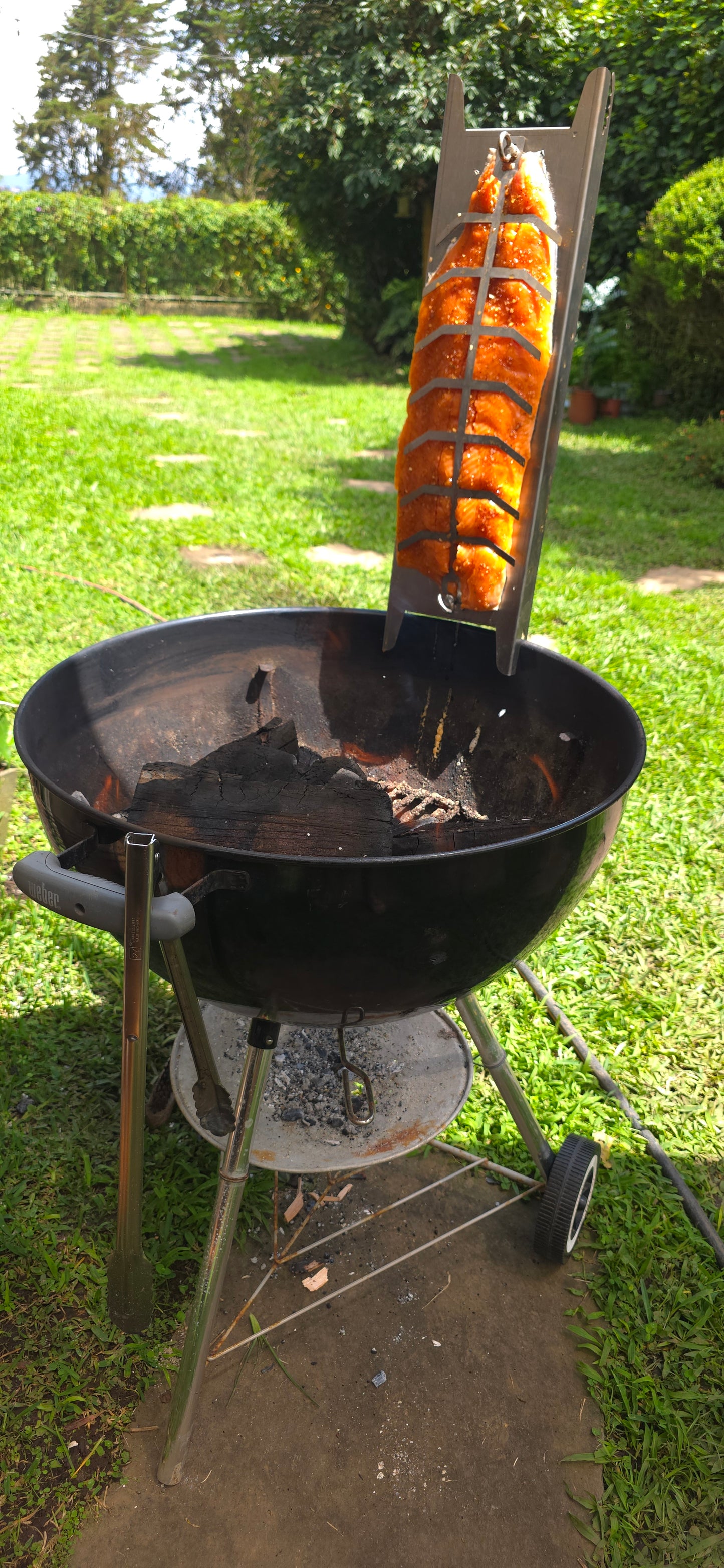 Placa Metalica para Salmón