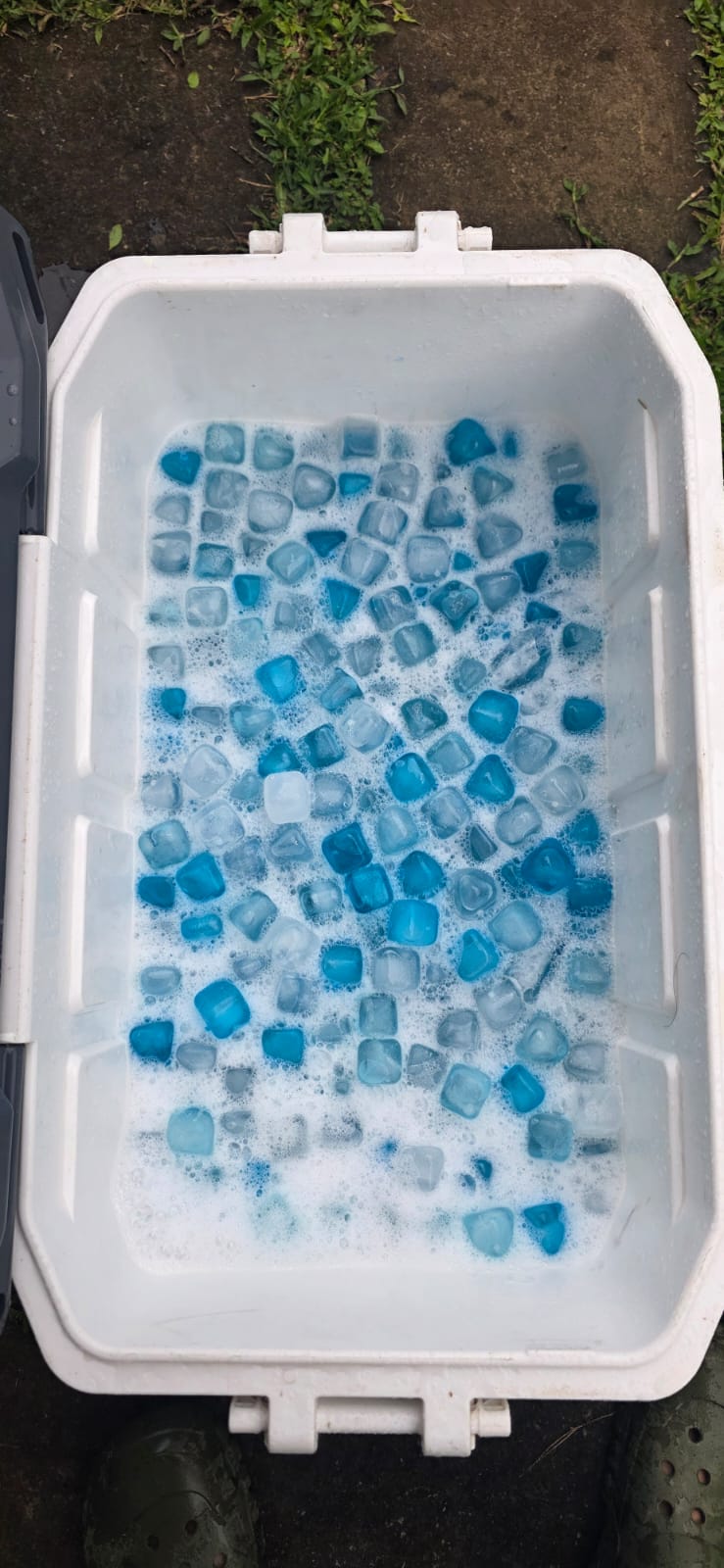 Cubos Hielo (Reutilizable)